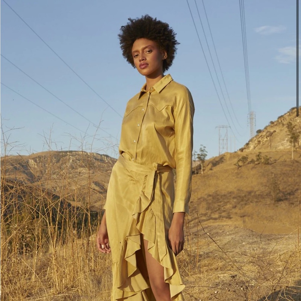 Emory bee west button down
